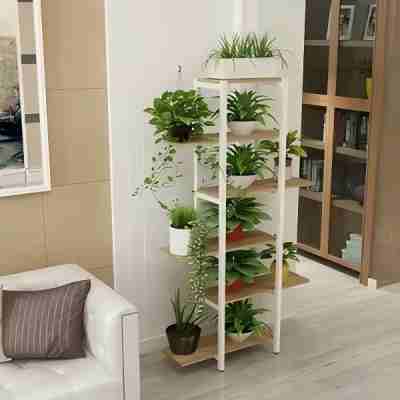 绿植租赁的核心优势